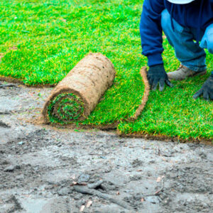Cuidado del pasto en rollo